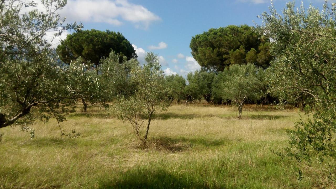 Olive Garden Guest House Kyparissia Exterior foto