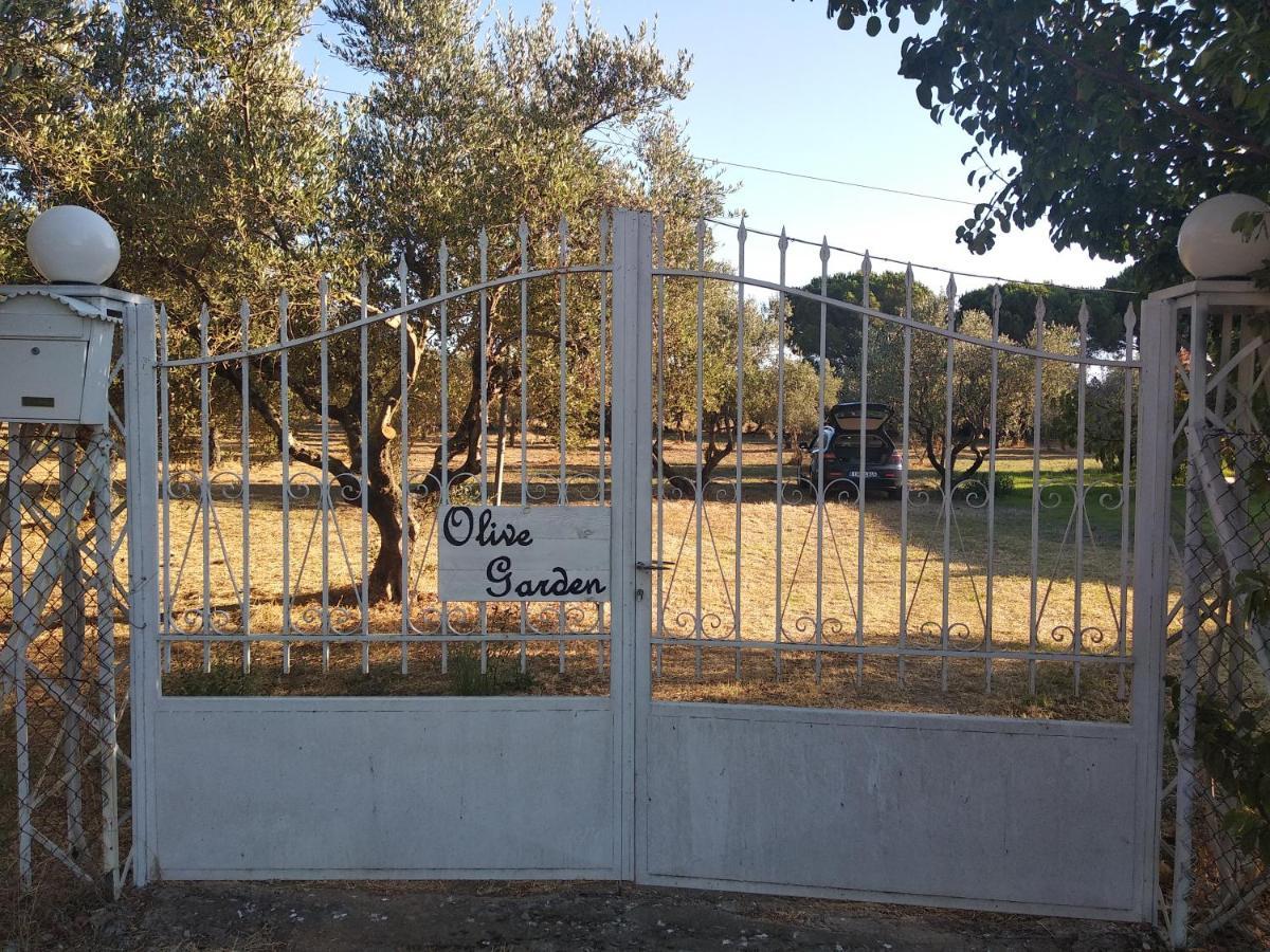 Olive Garden Guest House Kyparissia Exterior foto
