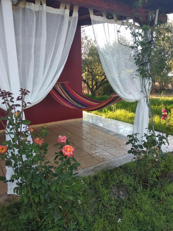 Olive Garden Guest House Kyparissia Exterior foto